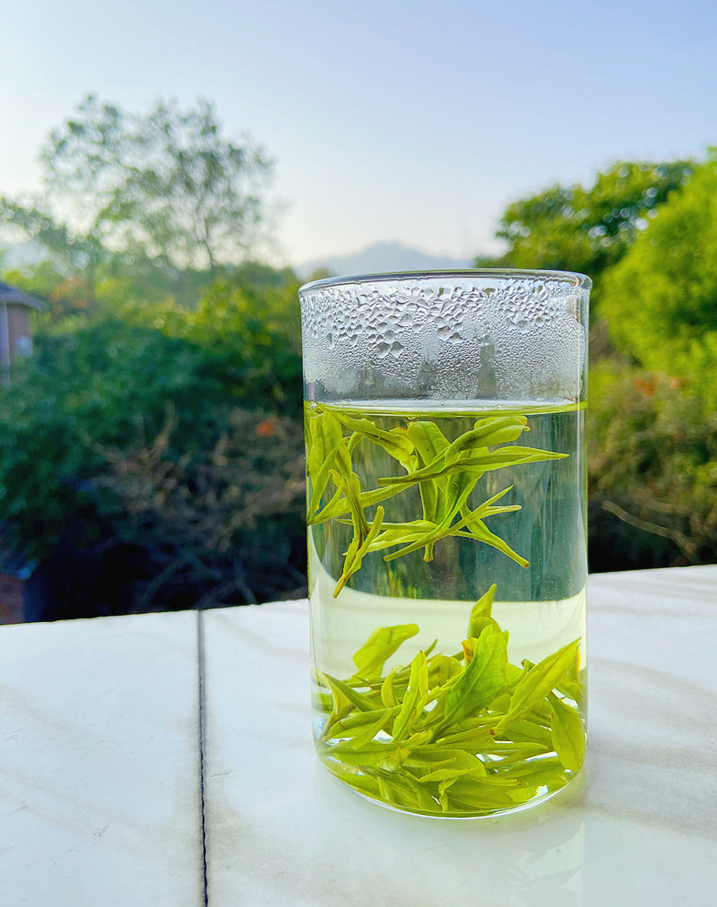 Thé vert An Ji Bai Cha