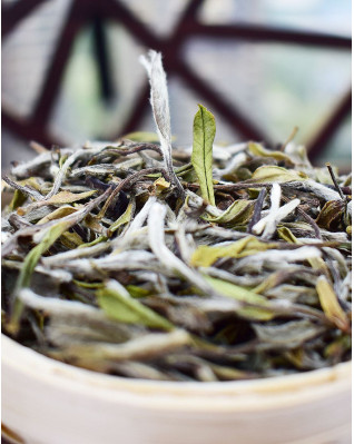 Thé blanc à la pivoine blanche (Bai Mu Dan) Thé blanc à la pivoine blanche (Bai Mu Dan)