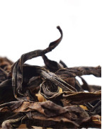 Da Hong Pao (Grande Robe Rouge) Thé Oolong Wuyi Rock