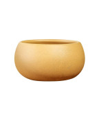 Tasse à thé Gongfu en argile violette Golden Duan Ni