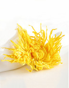 Chrysanthème Impérial En Soie Dorée