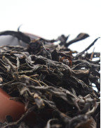 Thé Oolong Vieux Arbres Lao Cong Shui Xian