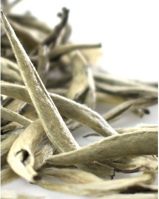 Thé blanc Bai Hao Yin Zhen (aiguilles d'argent)  Thé blanc Bai Hao Yin Zhen (aiguilles d'argent)