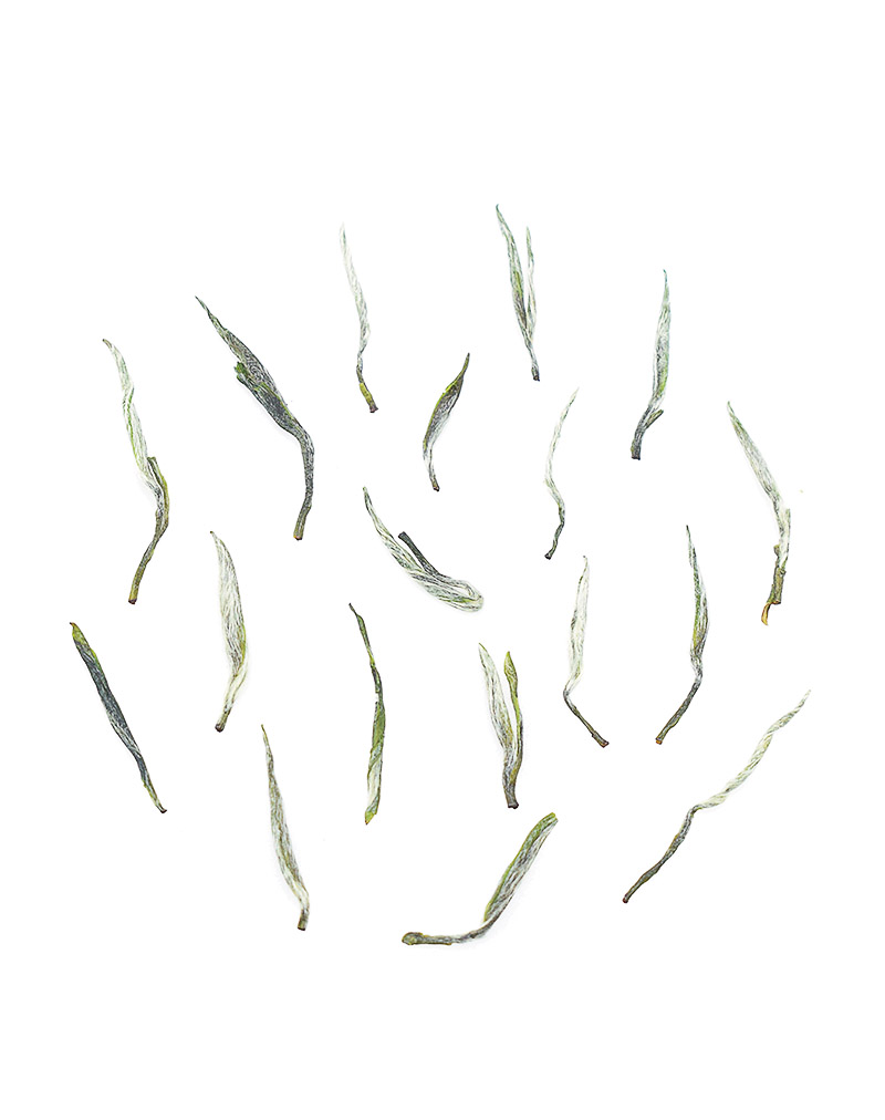 Thé vert Xin Yang Mao Jian