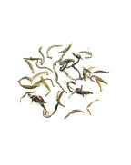 Thé jaune rare Yuan-an Lu yuan