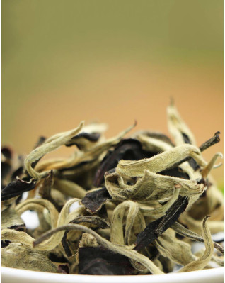 Thé blanc au clair de lune de haute montagne Yangta Thé blanc au clair de lune de haute montagne Yangta
