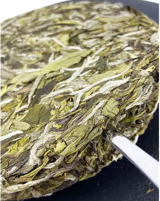 Gâteau au thé à la pivoine blanche séchée au soleil de haute montagne Gâteau au thé à la pivoine blanche séchée au soleil de haute montagne