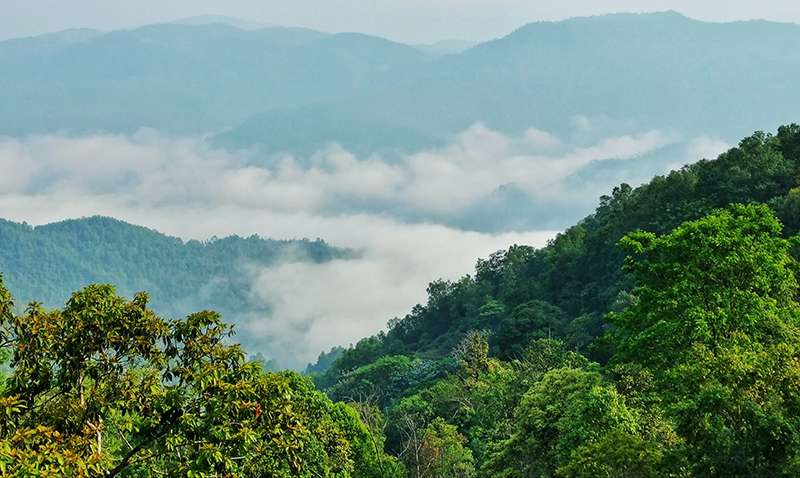 Beau Yunnan Beau Yunnan