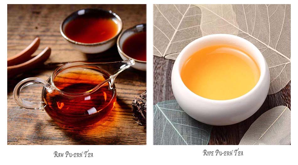 Comparaison du liquide de thé cru et mûr
