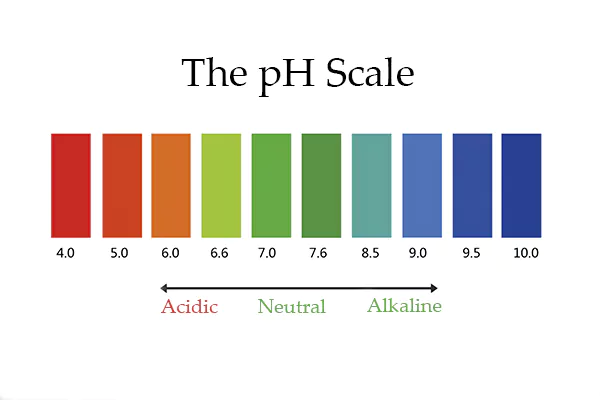 échelle de pH