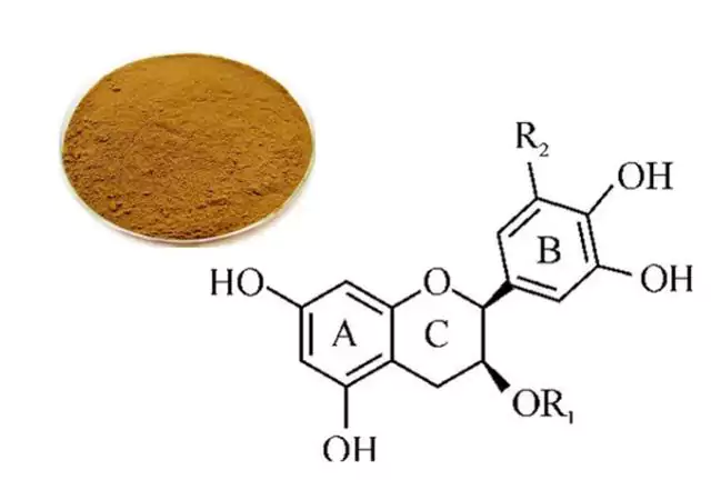 Polyphénols du thé
