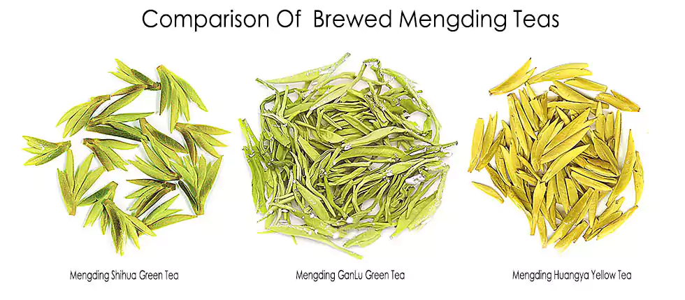 Comparaison des thés Mengding infusés