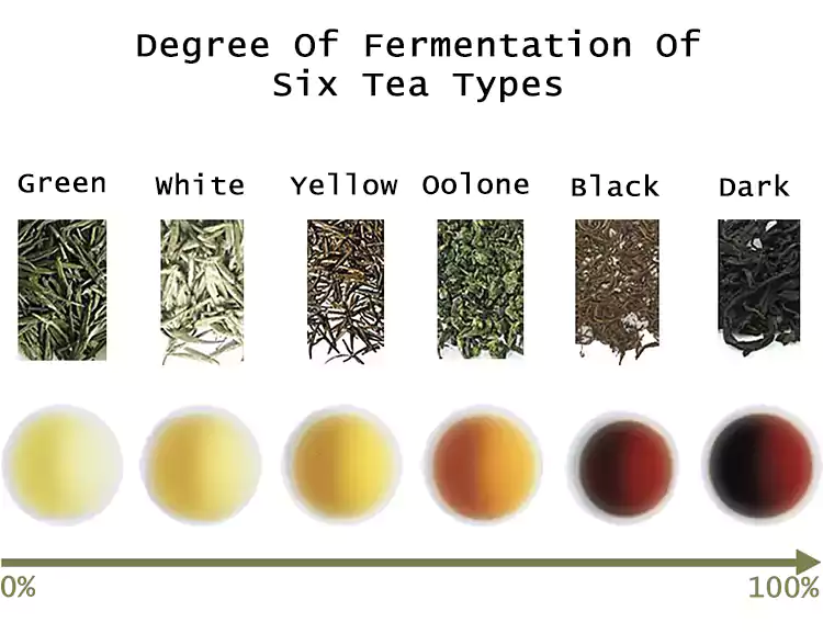 Comparaison du degré de fermentation de six principaux types de thé
