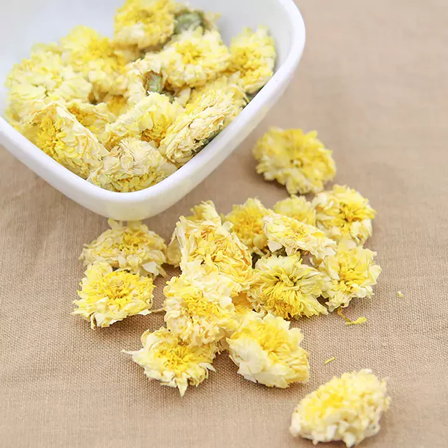 Chrysanthème hommage à Huangshan