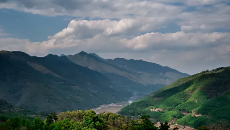 Montagnes De Thé Au Yunnan