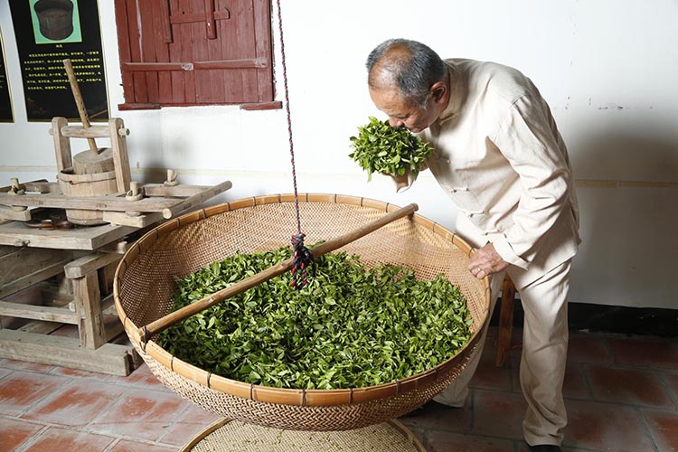Les compétences de lancer et de refroidissement du traitement du Tie Guan Yin Les compétences de lancer et de refroidissement du traitement du Tie Guan Yin