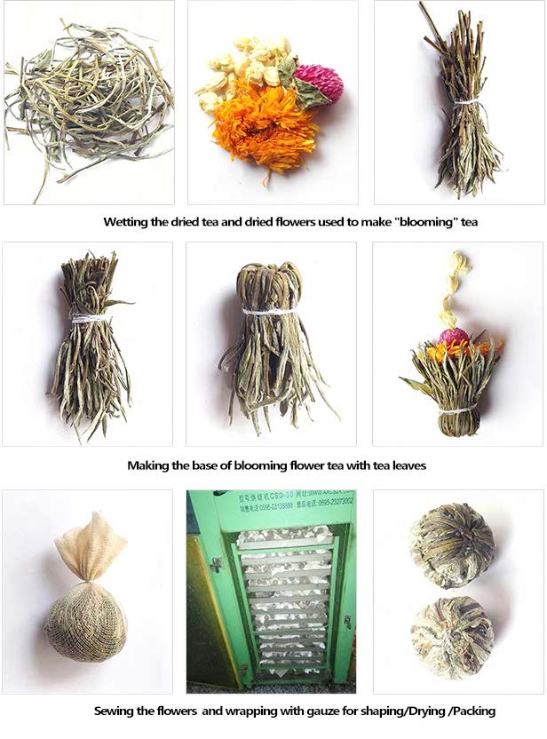 Étapes de transformation du thé en fleurs Étapes de transformation du thé en fleurs