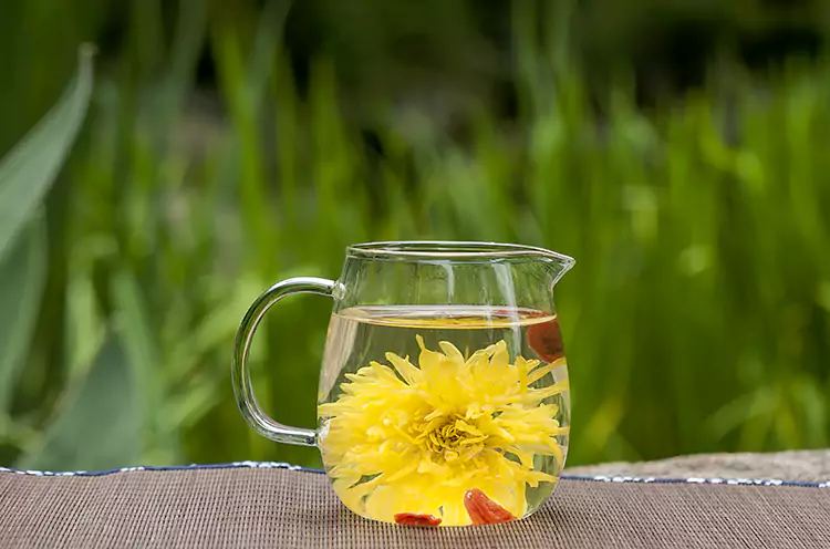 Chrysanthème Impérial En Soie Dorée Dans Une Coupe En Verre Chrysanthème Impérial En Soie Dorée Dans Une Coupe En Verre