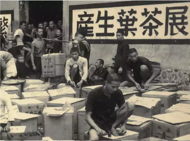 Thé noir Tan Yang en attente d'exportation (capturé au milieu du 20e siècle) Thé noir Tan Yang en attente d'exportation (capturé au milieu du 20e siècle)