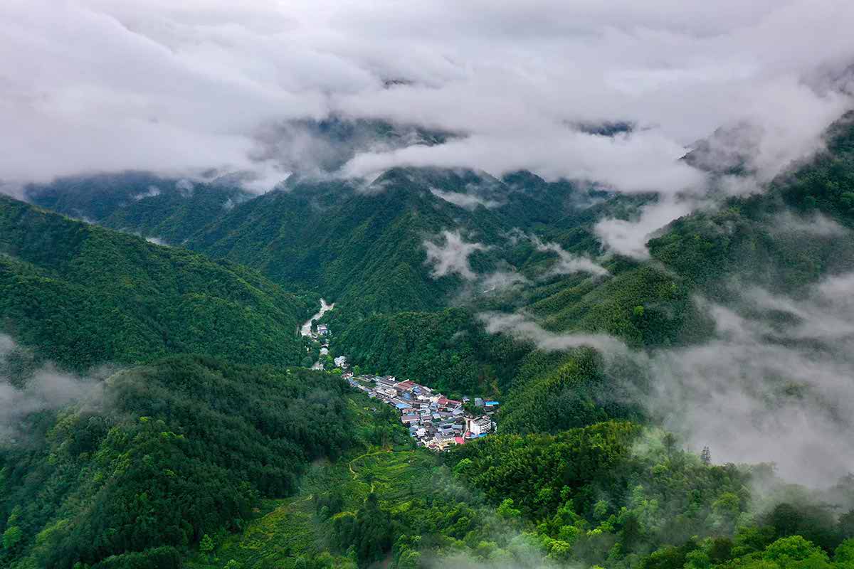 Le village de Tongmu enveloppé de nuages et de brume Le village de Tongmu enveloppé de nuages et de brume