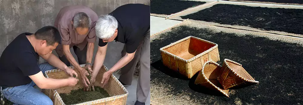 Les ouvriers fabriquent Jiu Qu Hong Mei Les ouvriers fabriquent Jiu Qu Hong Mei