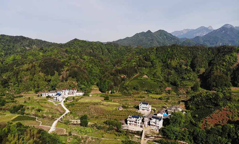 Un petit village où est cultivé le thé noir Qimen Un petit village où est cultivé le thé noir Qimen
