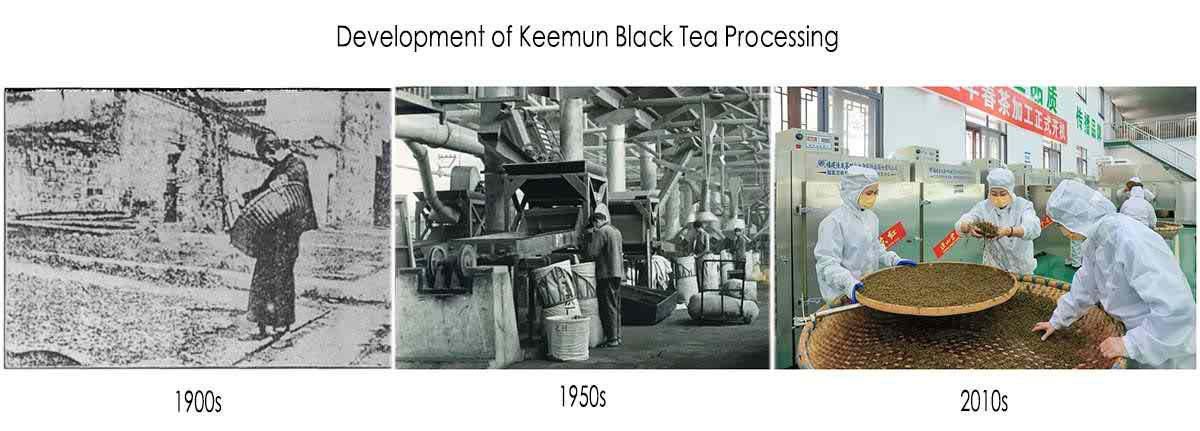 Comparaison des types traditionnels et nouveaux de thé noir Keemun Comparaison des types traditionnels et nouveaux de thé noir Keemun