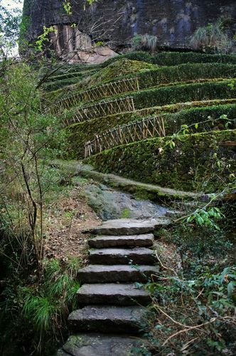 La route de montagne menant au jardin de thé One Tie Guan Yin à Anxi La route de montagne menant au jardin de thé One Tie Guan Yin à Anxi