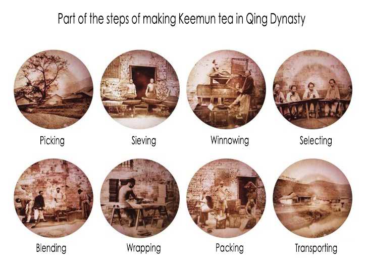 Une partie des étapes de préparation du thé keemun sous la dynastie Qing Une partie des étapes de préparation du thé keemun sous la dynastie Qing