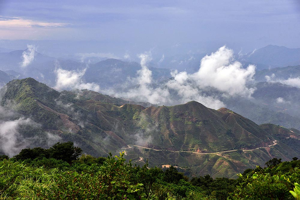 Paysage De La Montagne Phoenix à Chaozhou Paysage De La Montagne Phoenix à Chaozhou
