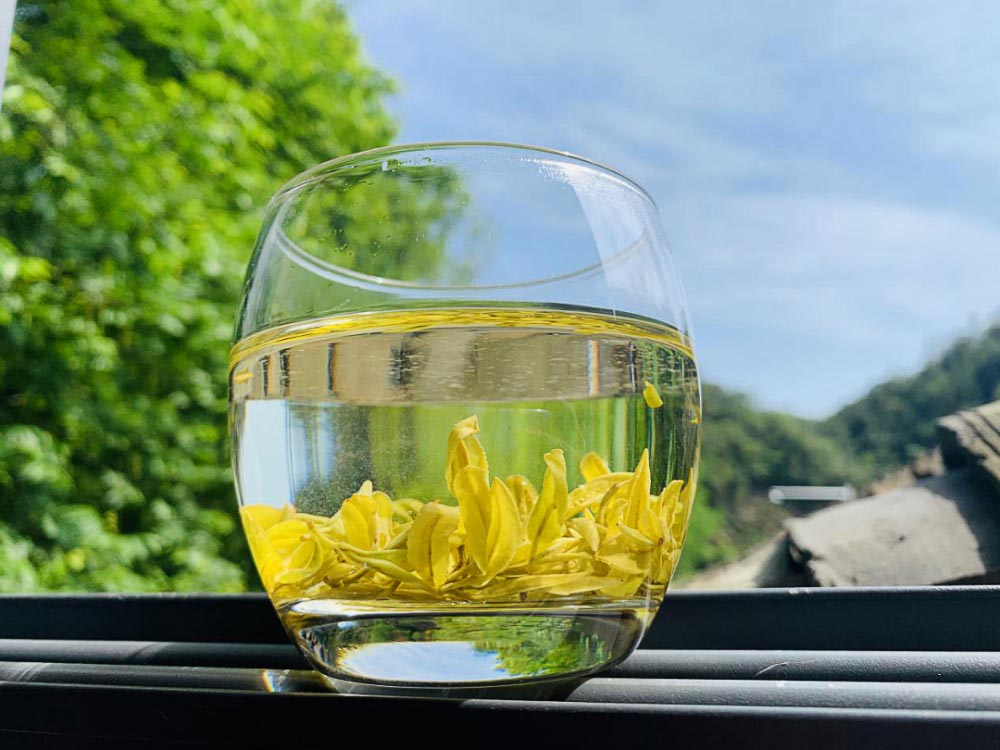 Un gros plan du thé jaune Yuanan Un gros plan du thé jaune Yuanan
