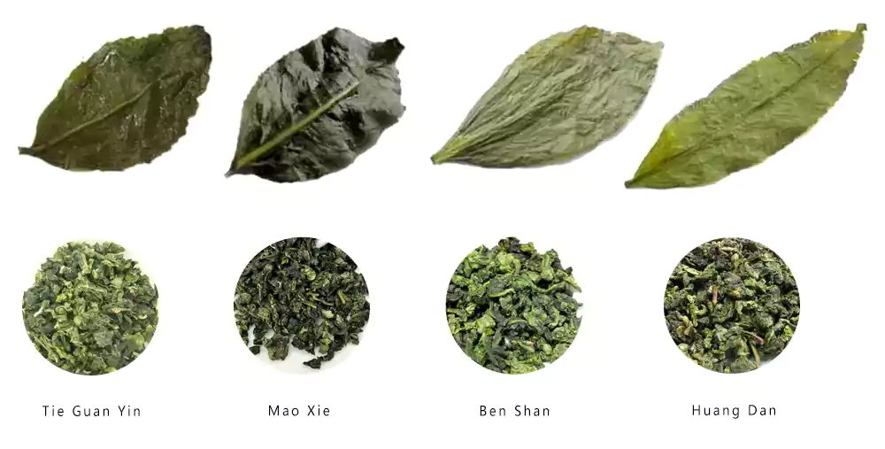 Comparaison de plusieurs sortes de thés Oolong